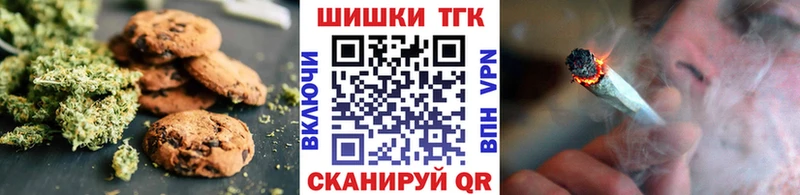 Купить где  Нязепетровск  Canna-Cookies конопля 