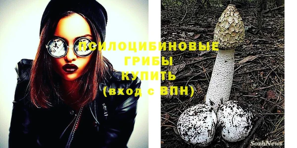 PSILOCYBIN Армянск