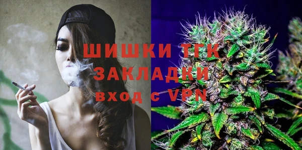 крисы Аркадак