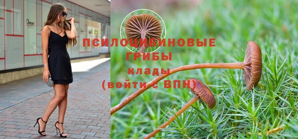 круглые Арсеньев