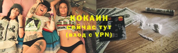 PSILOCYBIN Армянск