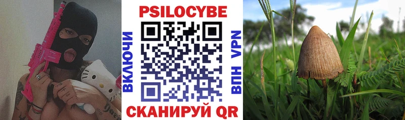 Купить где  Нязепетровск  Псилоцибиновые грибы GOLDEN TEACHER 